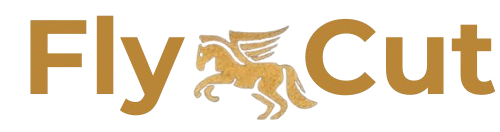 FlyCutStore